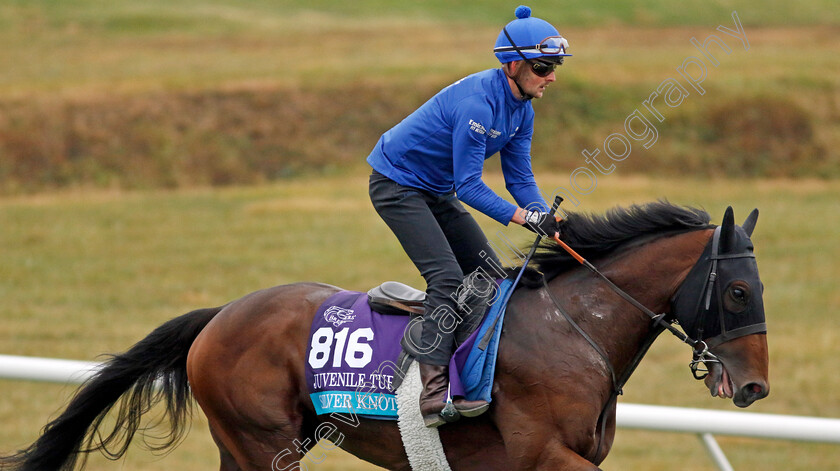 Silver-Knott-0002 
 SILVER KNOTT training for the Breeders' Cup Juvenile Turf
Keeneland USA 1 Nov 2022 - Pic Steven Cargill / Racingfotos.com