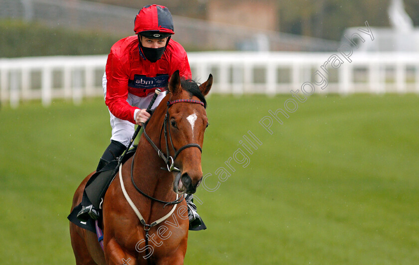 Chipotle-0001 
 CHIPOTLE (Charles Bishop) winner of The Royal Ascot Two-Year-Old Trial Conditions Stakes
Ascot 28 Apr 2021 - Pic Steven Cargill / Racingfotos.com