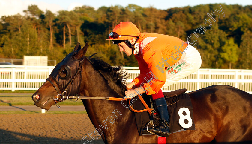 Matharu-0001 
 MATHARU (Finley Marsh)
Chelmsford 3 Oct 2024 - Pic Steven Cargill / Racingfotos.com