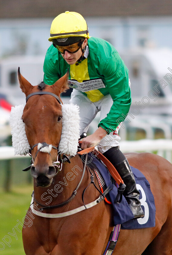 Dapper-Valley-0007 
 DAPPER VALLEY (Tom Marquand) winner of The Join Moulton Racing Syndicate Handicap
Yarmouth 22 Oct 2024 - Pic Steven Cargill / Racingfotos.com