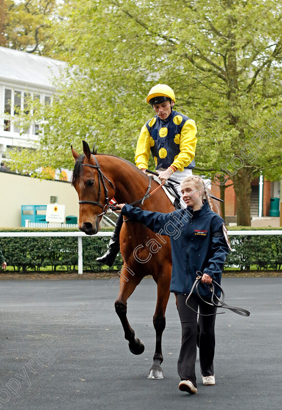 Isle-Of-Lismore-0005 
 ISLE OF LISMORE (Kieran Shoemark) winner of The Naas Racecourse Handicap Div2
Ascot 1 May 2024 - Pic Steven Cargill / Racingfotos.com