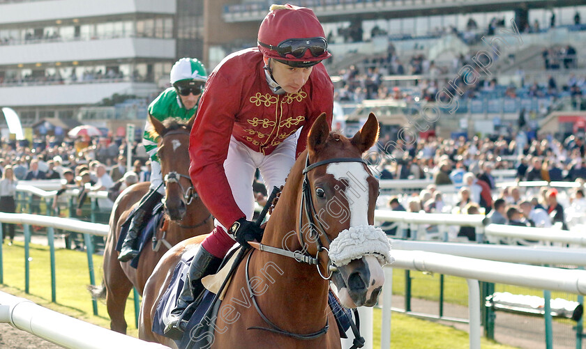 Kingsclere-0001 
 KINGSCLERE (Oisin Murphy)
Doncaster 13 Sep 2024 - Pic Steven Cargill / Racingfotos.com