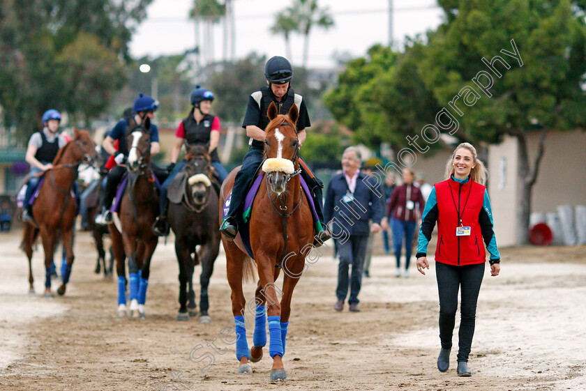 Ulysses-0001 
 ULYSSES training for The Breeders' Cup Turf, with groom Radka Hovadova, at Del Mar USA, 1 Nov 2017 - Pic Steven Cargill / Racingfotos.com