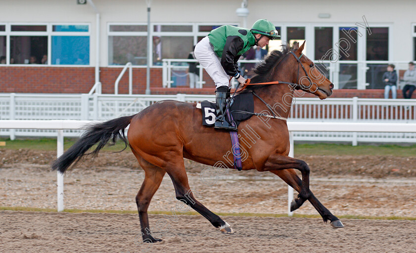 Swilly-Sunset-0001 
 SWILLY SUNSET (William Carson) Chelmsford 6 Apr 2018 - Pic Steven Cargill / Racingfotos.com