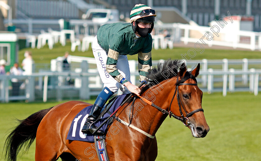 Lovely-Lou-Lou-0001 
 LOVELY LOU LOU (Darragh Keenan)
Yarmouth 15 Sep 2020 - Pic Steven Cargill / Racingfotos.com