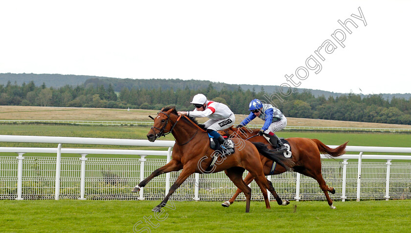 Snowalot-0001 
 SNOWALOT (Daniel Muscutt) wins The Access Tomorrows Placepots Early At tote.co.uk Handicap
Goodwood 28 Aug 2021 - Pic Steven Cargill / Racingfotos.com