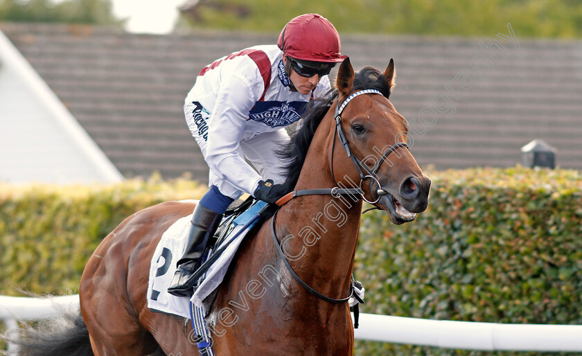 Muhaarar s-Nephew-0001 
 MUHAARAR'S NEPHEW (Jim Crowley)
Kempton 7 Aug 2019 - Pic Steven Cargill / Racingfotos.com