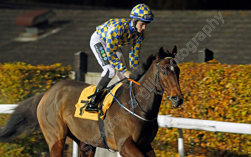 Mowhoob-0001 
 MOWHOOB (Joshua Bryan) Kempton 8 Nov 2017 - Pic Steven Cargill / Racingfotos.com