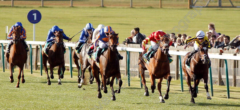 Iridessa-0002 
 IRIDESSA (2nd right, Wayne Lordan) beats PRETTY POLLYANNA (right) and HERMOSA (left) in The bet365 Fillies Mile
Newmarket 12 Oct 2018 - Pic Steven Cargill / Racingfotos.com