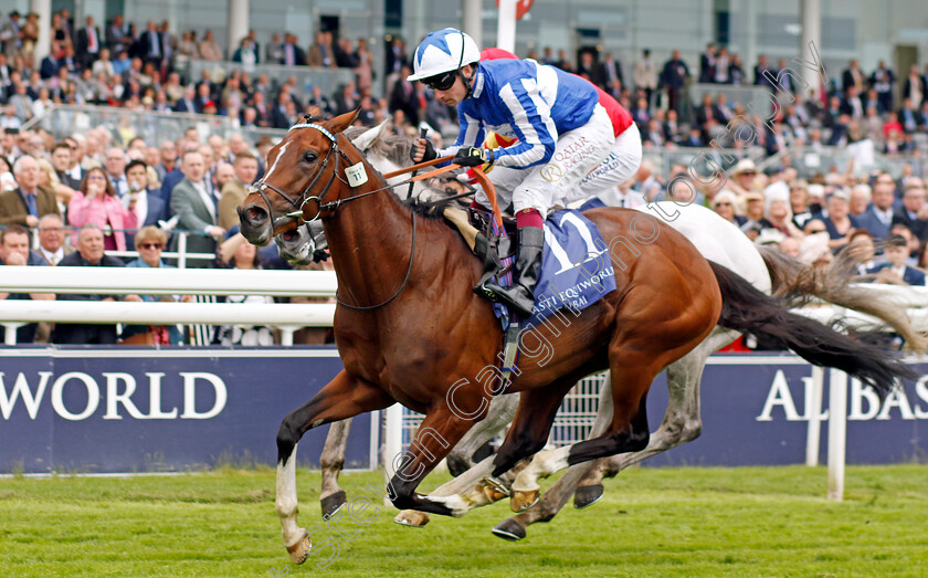 The-Foxes-0003 
 THE FOXES (Oisin Murphy) wins The Al Basti Equiworld Dubai Dante Stakes
York 18 May 2023 - Pic Steven Cargill / Racingfotos.com