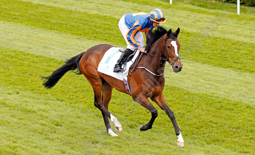 Magic-Wand-0001 
 MAGIC WAND (Ryan Moore) before winning The Arkle Finance Cheshire Oaks Chester 9 May 2018 - Pic Steven Cargill / Racingfotos.com