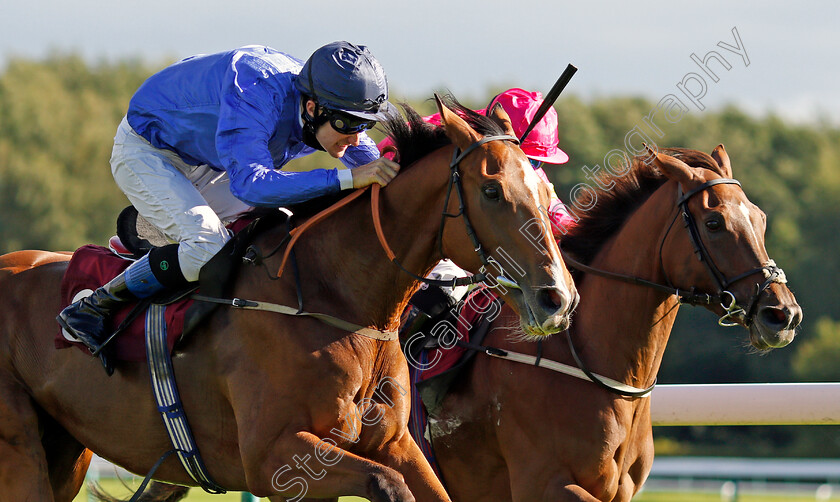 Lady-Scatterley-0004 
 LADY SCATTERLEY (farside, William Easterby) beats DAS KAPITAL (nearside, Ross Birkett) in The Best Odds On The Betfair Exchange Handicap
Haydock 3 Sep 2020 - Pic Steven Cargill / Racingfotos.com