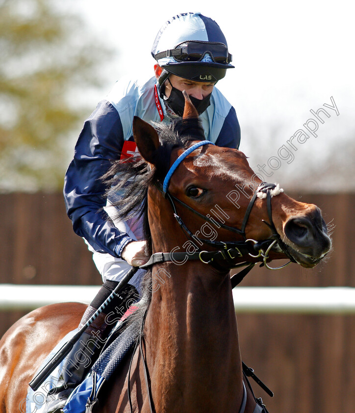 Meritorious-0001 
 MERITORIOUS (Robert Havlin)
Leicteser 24 Apr 2021 - Pic Steven Cargill / Racingfotos.com