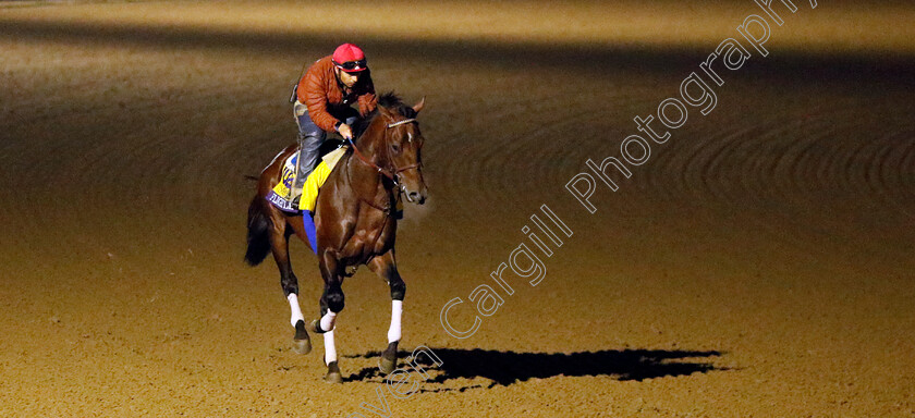 Flightline-0003 
 FLIGHTLINE training for the Breeders' Cup Classic
Keeneland USA 3 Nov 2022 - Pic Steven Cargill / Racingfotos.com