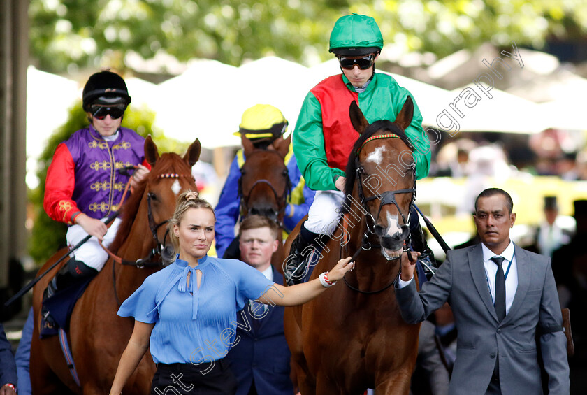 Candleford-0001 
 CANDLEFORD (William Buick)
Royal Ascot 22 Jun 2024 - Pic Steven Cargill / Racingfotos.com