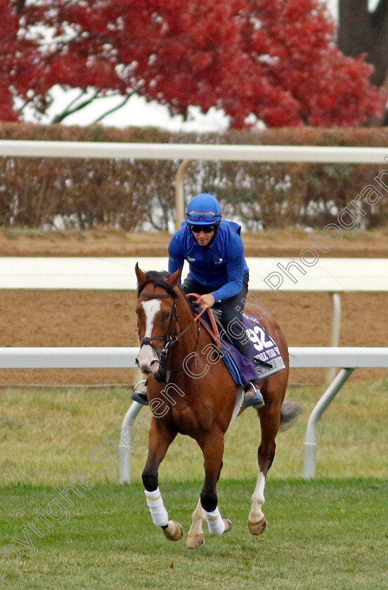 Mischief-Magic-0002 
 MISCHIEF MAGIC training for the Breeders' Cup Juvenile Turf Sprint
Keeneland USA 1 Nov 2022 - Pic Steven Cargill / Racingfotos.com