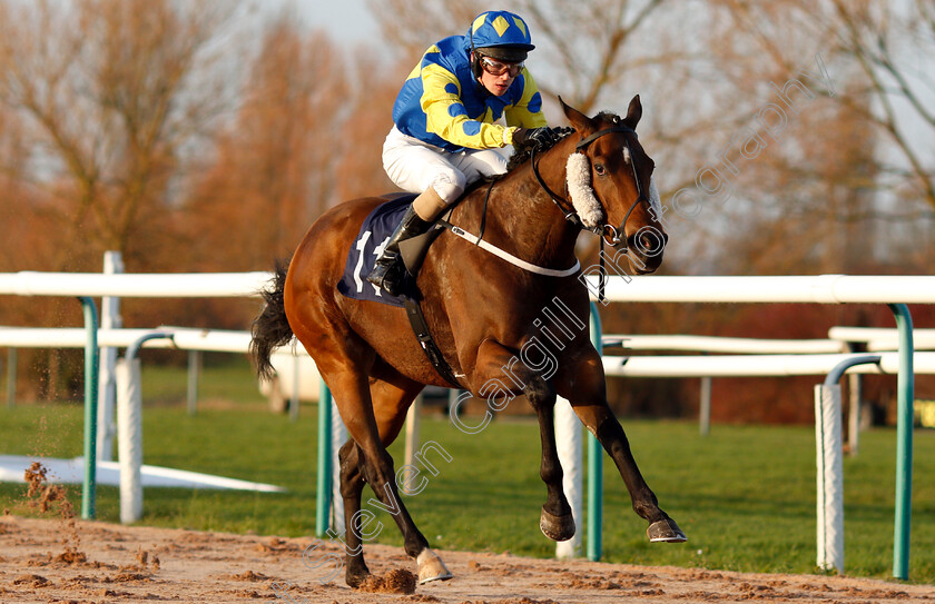 Angel-Palanas-0004 
 ANGEL PALANAS (Jonathan Fisher) wins The Follow Sun Racing On Twitter Handicap
Southwell 11 Dec 2018 - Pic Steven Cargill / Racingfotos.com