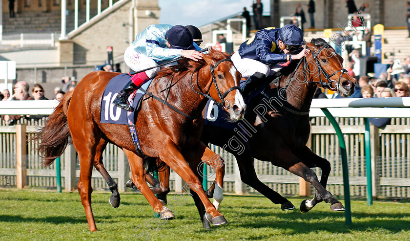 Timpani-0001 
 TIMPANI (left, Frankie Dettori) beats LEFT ALONE (right) in The Rewards4racing Fillies Novice Median Auction Stakes Div2 Newmarket 25 Oct 2017 - Pic Steven Cargill / Racingfotos.com