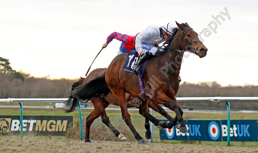 One-Night-Stand-0004 
 ONE NIGHT STAND (Kieran O'Neill) wins The Build The Acca With Betuk Handicap
Lingfield 20 Jan 2024 - Pic Steven Cargill / Racingfotos.com