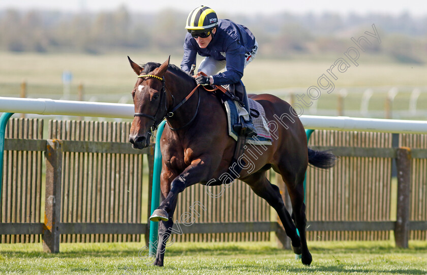 Sakheer-0001 
 SAKHEER (David Egan) racecourse gallop
Newmarket 18 Apr 2023 - Pic Steven Cargill / Racingfotos.com