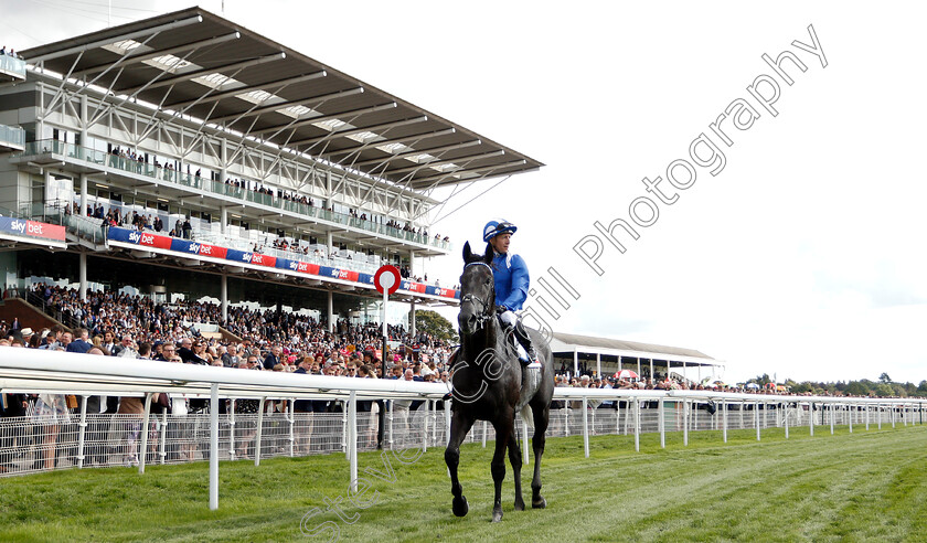 Muntahaa-0008 
 MUNTAHAA (Jim Crowley) after The Sky Bet Ebor Handicap
York 25 Aug 2018 - Pic Steven Cargill / Racingfotos.com