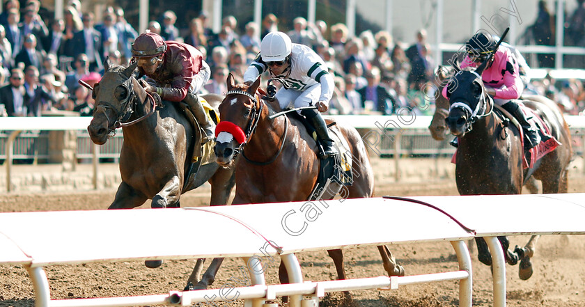 Business-Model-and-B-Dawk-0003 
 BUSINESS MODEL (left, Tyler Gaffalione) dead-heats with B DAWK (right, Luis Saez) in The Haggin Julep Cup
Breeders Cup Meeting, Keeneland USA, 4 Nov 2022 - Pic Steven Cargill / Racingfotos.com