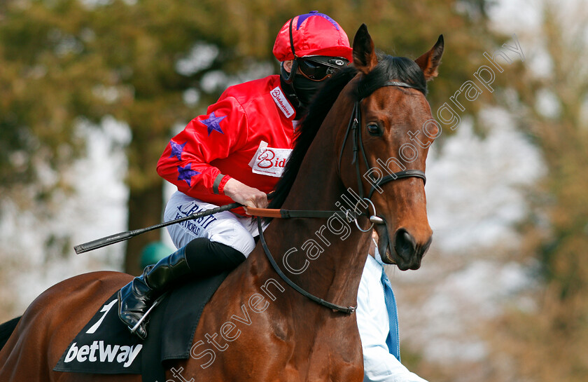 Australis-0001 
 AUSTRALIS (Jack Mitchell)
Lingfield 2 Apr 2021 - Pic Steven Cargill / Racingfotos.com