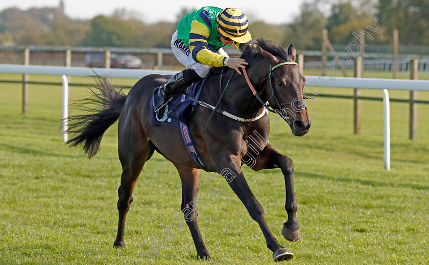 Midnights-Legacy-0008 
 MIDNIGHTS LEGACY (Tom Marquand) wins The Download The Star Sports App Now EBF Novice Stakes
Bath 16 Oct 2019 - Pic Steven Cargill / Racingfotos.com