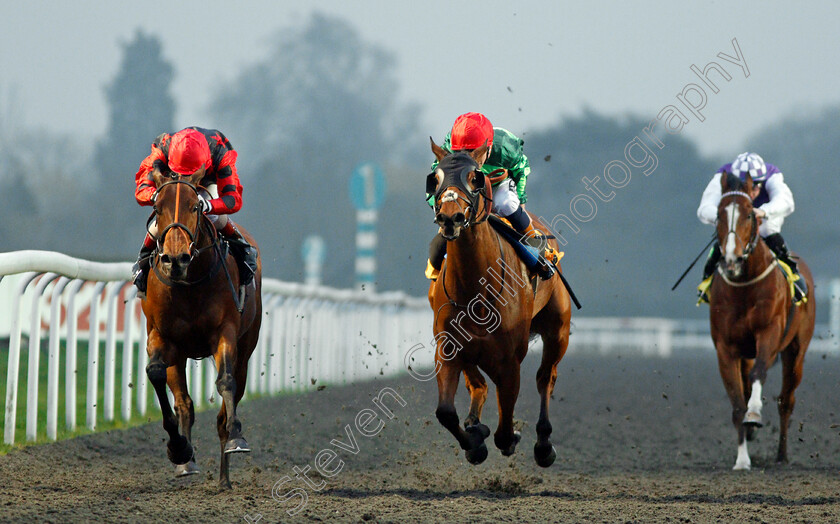 Screaming-Gemini-and-Rock-Icon-0001 
 SCREAMING GEMINI (centre, David Egan) and ROCK ICON (left, Jimmy Quinn) Kempton 11 Apr 2018 - Pic Steven Cargill / Racingfotos.com