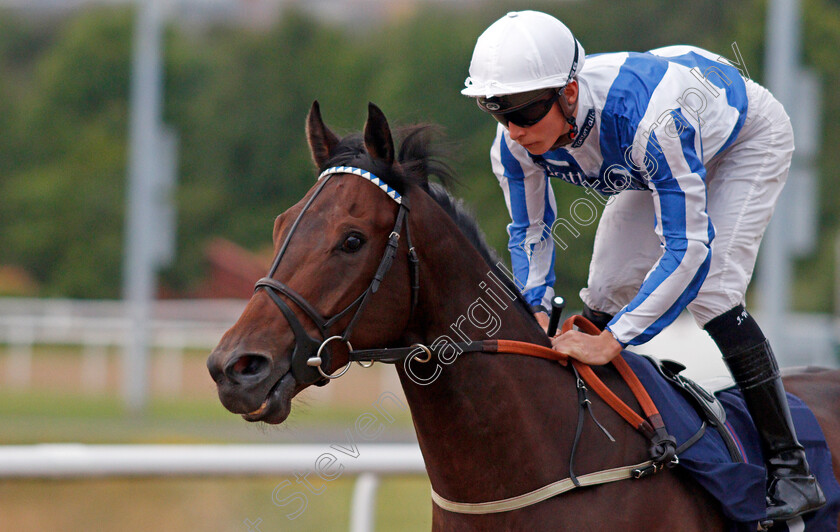 Great-Suspense-0002 
 GREAT SUSPENSE (Jason Watson)
Wolverhampton 17 Jul 2019 - Pic Steven Cargill / Racingfotos.com