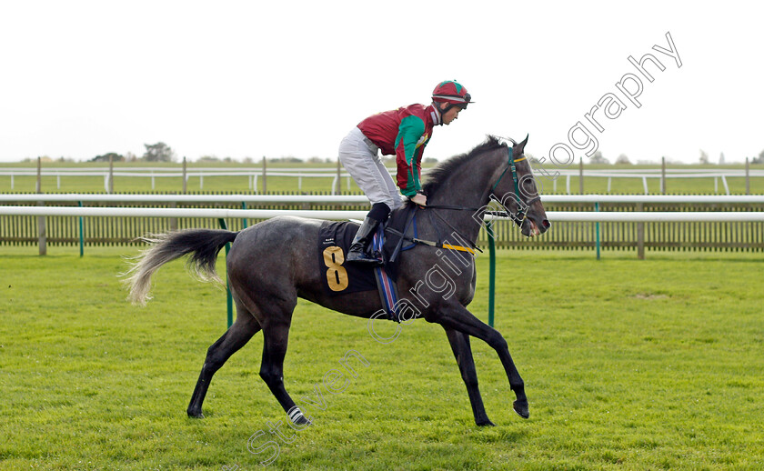 Scotch-Mist 
 SCOTCH MIST (Dylan Hogan)
Newmarket 20 Oct 2021 - Pic Steven Cargill / Racingfotos.com