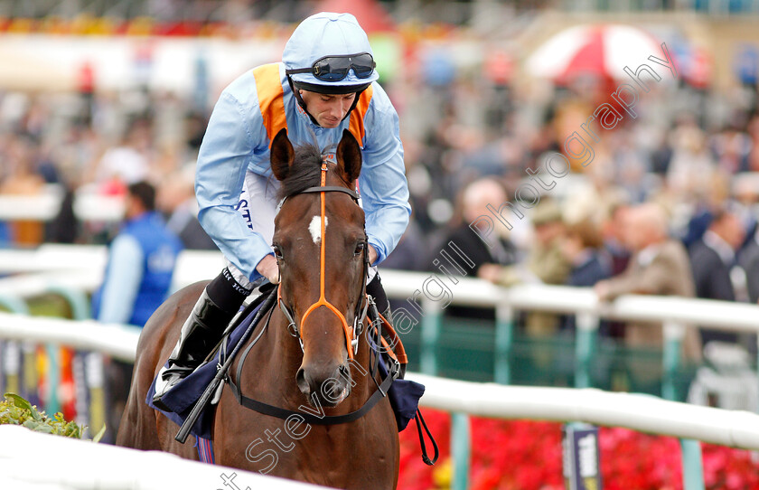 Tigre-Du-Terre-0001 
 TIGRE DU TERRE (Ryan Moore) Doncaster 15 Sep 2017 - Pic Steven Cargill / Racingfotos.com