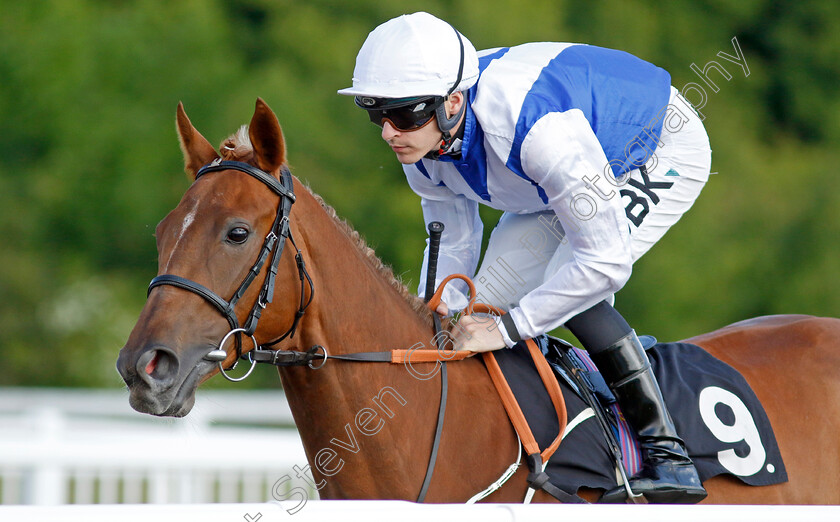 Crackovia-0002 
 CRACKOVIA (Richard Kingscote)
Chelmsford 7 Jun 2022 - Pic Steven Cargill / Racingfotos.com