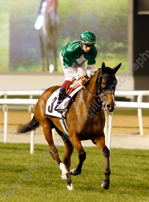 In-Time-0001 
 IN TIME (Antonio Fresu)
Meydan 3 Feb 2023 - Pic Steven Cargill / Racingfotos.com