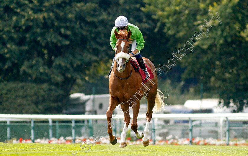 Flying-Barty-0001 
 FLYING BARTY (Kevin Stott)
Haydock 2 Sep 2022 - Pic Steven Cargill / Racingfotos.com