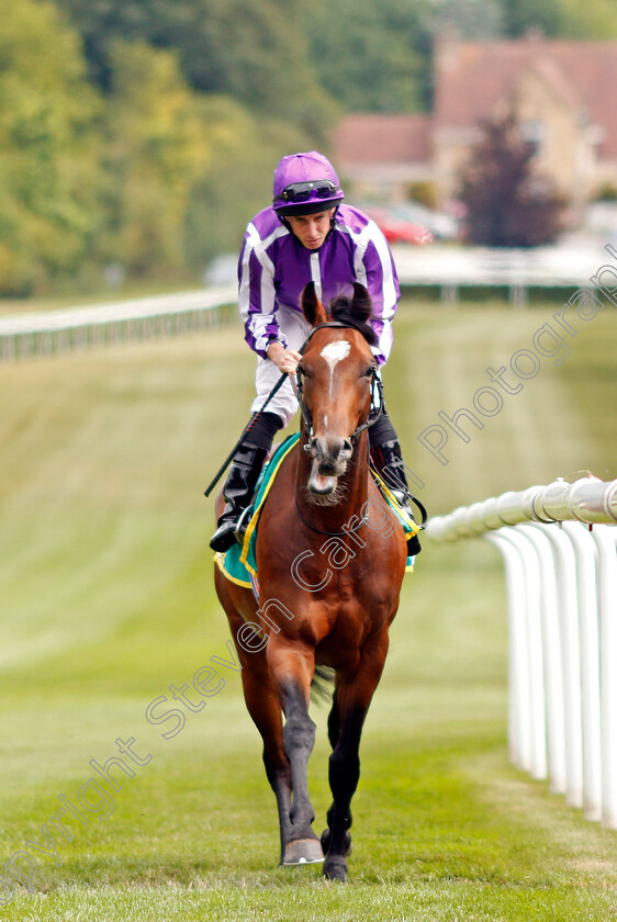 Year-Of-The-Tiger-0001 
 YEAR OF THE TIGER (Ryan Moore)
Newmarket 13 Jul 2019 - Pic Steven Cargill / Racingfotos.com