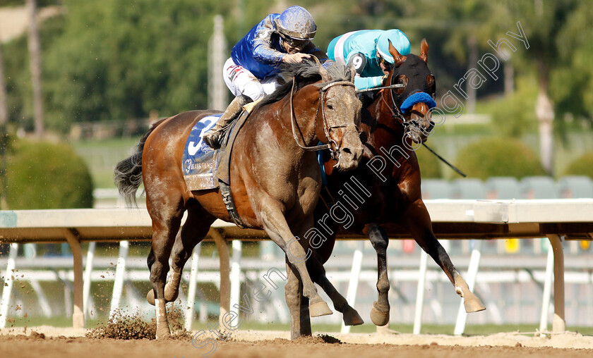 Cody s-Wish-0005 
 CODY'S WISH (left, Junior Alvarado) beats NATIONAL TREASURE (right, Flavien Prat) in The Breeders' Cup Dirt Mile
Santa Anita 4 Nov 2023 - Pic Steven Cargill / Racingfotos.com