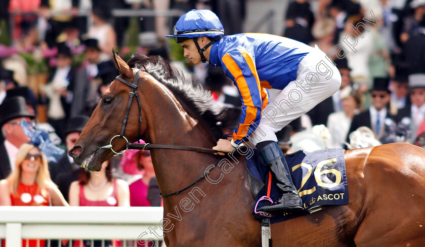 So-Wonderful-0001 
 SO WONDERFUL (Donnacha O'Brien)
Royal Ascot 21 Jun 2019 - Pic Steven Cargill / Racingfotos.com