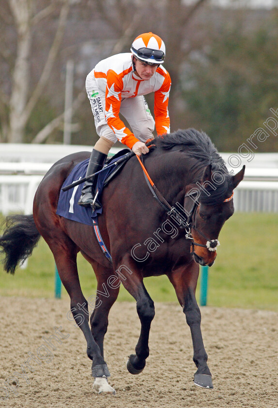 Elmejor-0001 
 ELMEJOR (Kieran O'Neill) winner of The Betway Novice Stakes
Lingfield 2 Jan 2020 - Pic Steven Cargill / Racingfotos.com