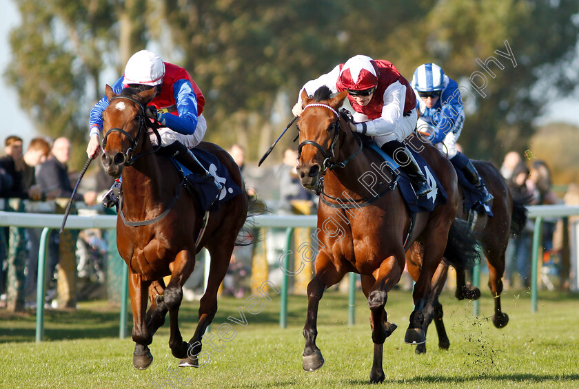 Mehdaayih-0006 
 MEHDAAYIH (left, Robert Havlin) beats FANNY LOGAN (right) in The British Stallion Studs EBF Fillies Novice Stakes Div2
Yarmouth 23 Oct 2018 - pic Steven Cargill / Racingfotos.com