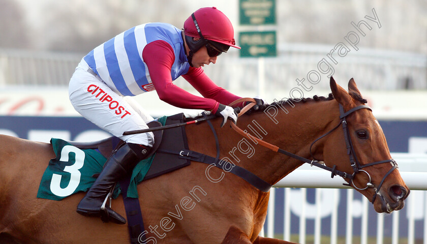 The-Worlds-End-0005 
 THE WORLDS END (Noel Fehily) wins The Neville Lumb Novices Chase
Cheltenham 14 Dec 2018 - Pic Steven Cargill / Racingfotos.com