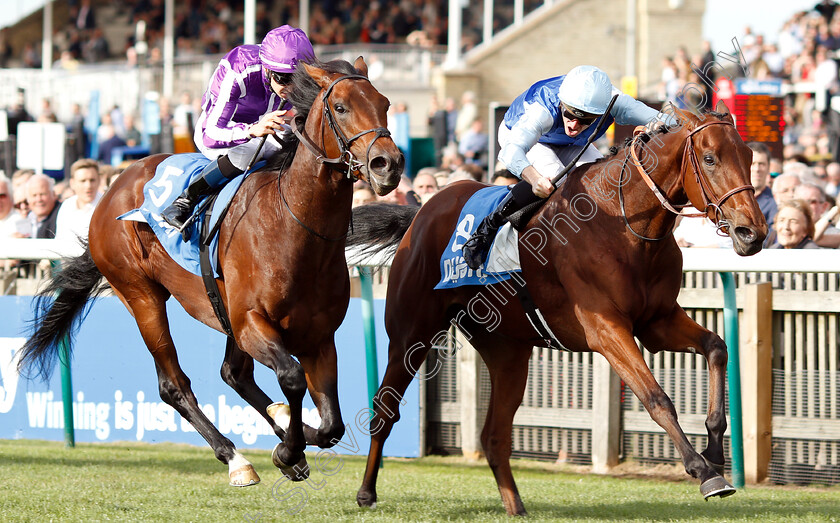 Persian-King-0008 
 PERSIAN KING (Pierre-Charles Boudot) beats MAGNA GRECIA (left) in The Masar Godolphin Autumn Stakes
Newmarket 13 Oct 2018 - Pic Steven Cargill / Racingfotos.com