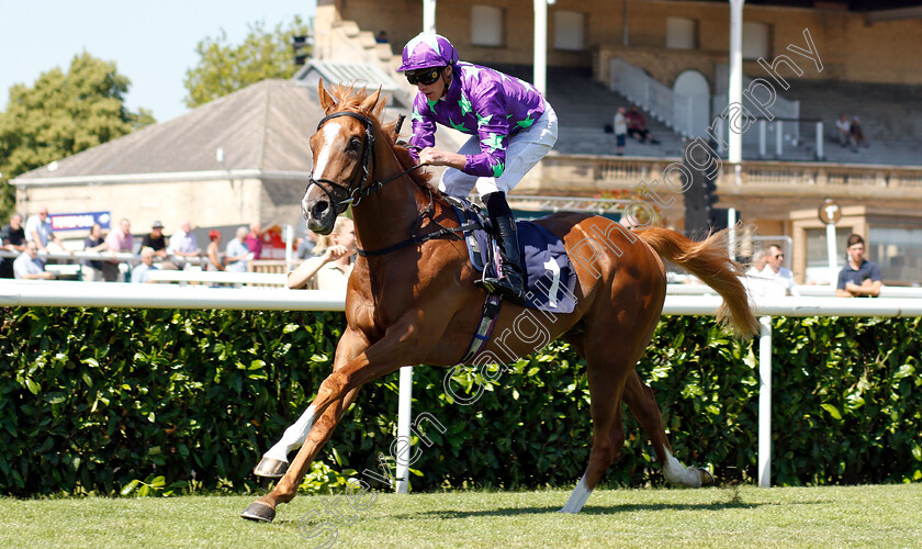 Blonde-Warrior-0004 
 BLONDE WARRIOR (James Doyle) wins The Edmond Shipway Novice Stakes
Doncaster 29 Jun 2018 - Pic Steven Cargill / Racingfotos.com