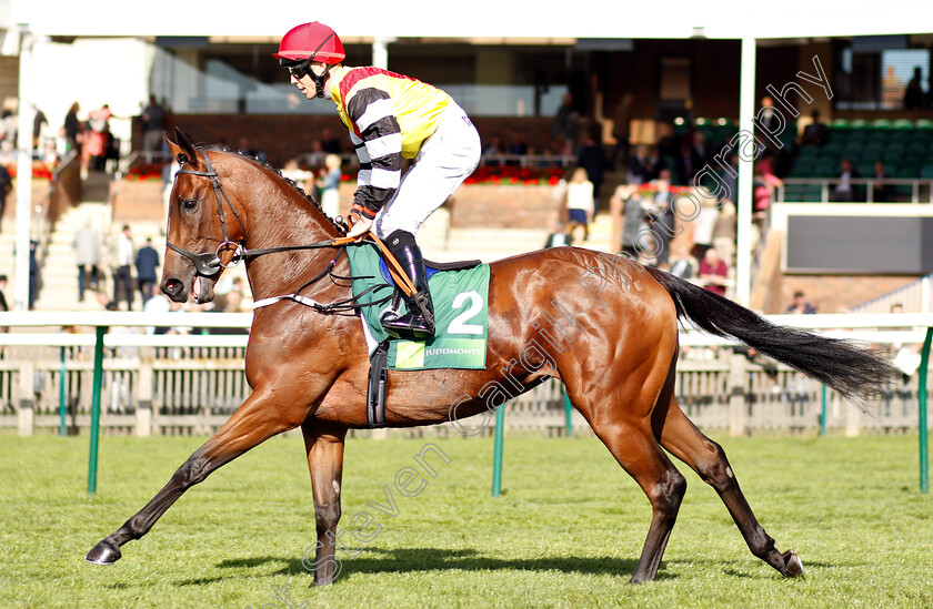 Comedy-0001 
 COMEDY (Ben Curtis)
Newmarket 29 Sep 2018 - Pic Steven Cargill / Racingfotos.com