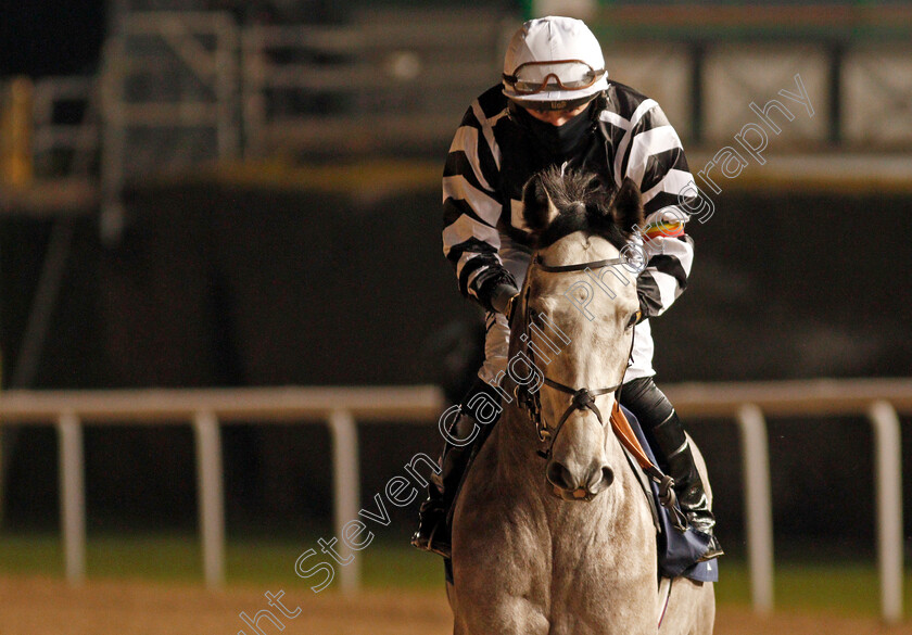 Afta-Party-0001 
 AFTA PARTY (Tom Marquand)
Wolverhampton 5 Dec 2020 - Pic Steven Cargill / Racingfotos.com