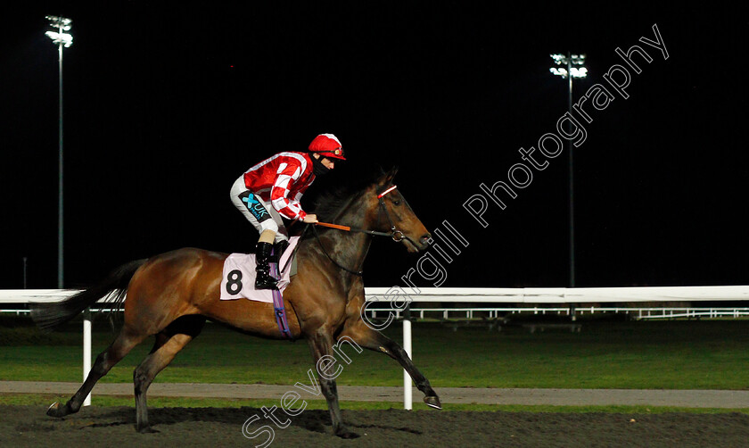 Blow-Your-Horn-0001 
 BLOW YOUR HORN (Stevie Donohoe)
Kempton 24 Feb 2021 - Pic Steven Cargill / Racingfotos.com