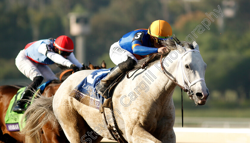 White-Abarrio-0005 
 WHITE ABARRIO (Irad Ortiz) wins The Breeders' Cup Classic
Santa Anita 4 Nov 2023 - pic Steven Cargill / Racingfotos.com