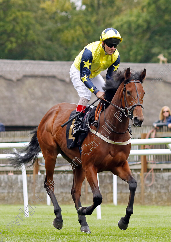 Jumeirah-Breeze-0001 
 JUMEIRAH BREEZE (Tom Queally)
Newmarket 30 Jun 2023 - Pic Steven Cargill / Racingfotos.com