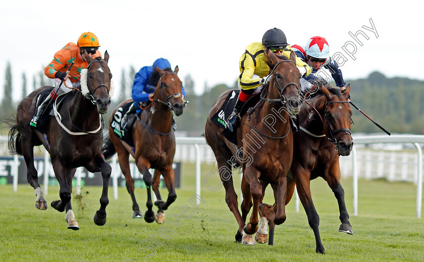 Pattie-0003 
 PATTIE (Gerald Mosse) beats RIPP ORF (right) and LOVE DREAMS (left) in The Unibet Handicap
Newbury 17 Aug 2019 - Pic Steven Cargill / Racingfotos.com