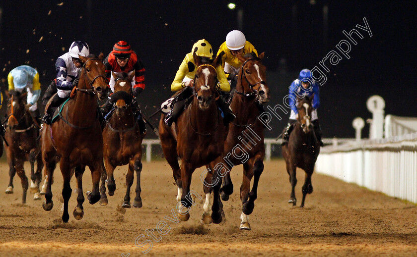 Noble-Expression-0003 
 NOBLE EXPRESSION (centre, Jack Mitchell) wins The Weatherbys General Stud Book Online EBF Novice Stakes Chelmsford 23 Nov 2017 - Pic Steven Cargill / Racingfotos.com